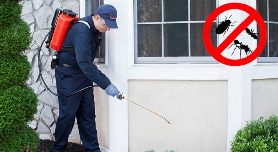 Silivri Böcek ve Haşere İlaçlama böcek ilaçlama ve haşere kontrolü — ilaclama-tr.com